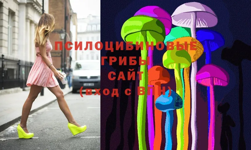 Псилоцибиновые грибы Magic Shrooms  мориарти наркотические препараты  Железногорск-Илимский  где купить наркотик 